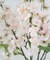 4pcs Artificial Cherry Blossom Stems Silk Peach Blossom Branches Long Stems for Vase Arrangements Home Wedding Table Decor